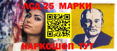шишки Кандалакша