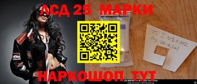 шишки Кандалакша