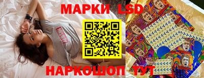 шишки Кандалакша