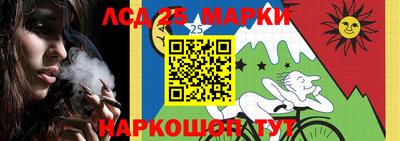 шишки Кандалакша