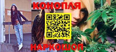 шишки Кандалакша