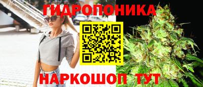 гашик Канаш