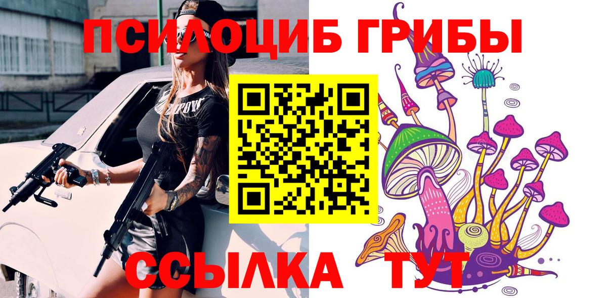 Галлюциногенные грибы Psilocybine cubensis  Вход с VPN  Дятьково 