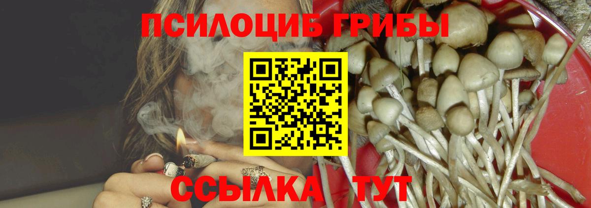 Псилоцибиновые грибы Magic Shrooms Дятьково